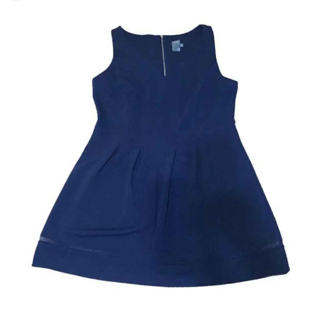 Taylor Plus Size V-neck Skater Dress